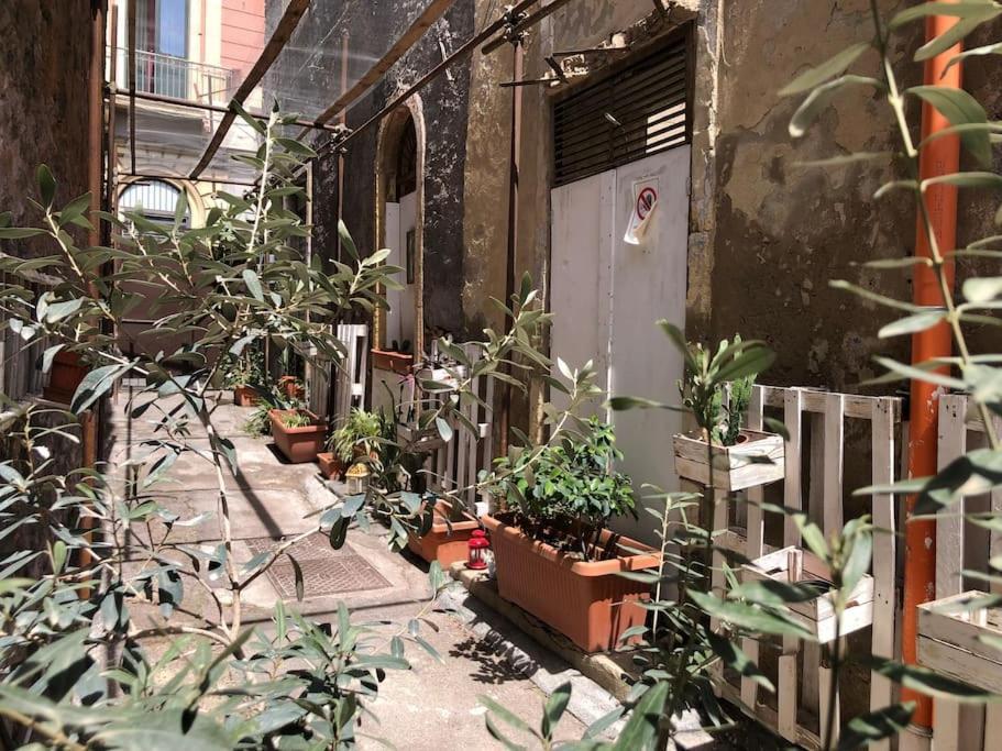 Suite Vicolo Lavico Katanya Dış mekan fotoğraf