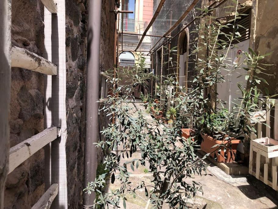 Suite Vicolo Lavico Katanya Dış mekan fotoğraf